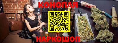 apvp Краснодар