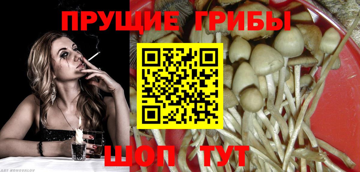 Буйнакск  Псилоцибиновые грибы ЛСД  Галлюциногенные грибы ЛСД  цена наркотик  Вход с VPN 
