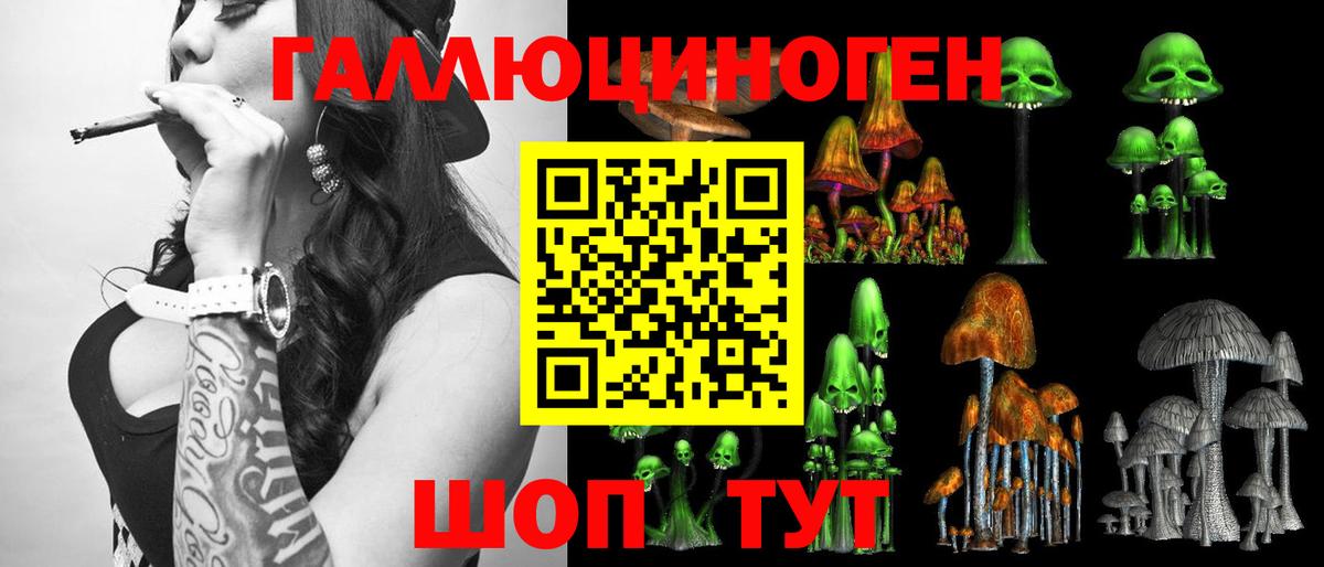 Псилоцибиновые грибы Psilocybe Буйнакск